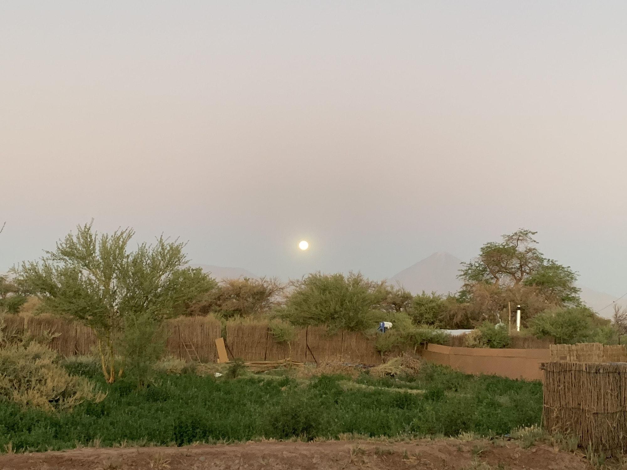 Atacama-Adventure Wellness & Ecolodge San Pedro de Atacama Dış mekan fotoğraf